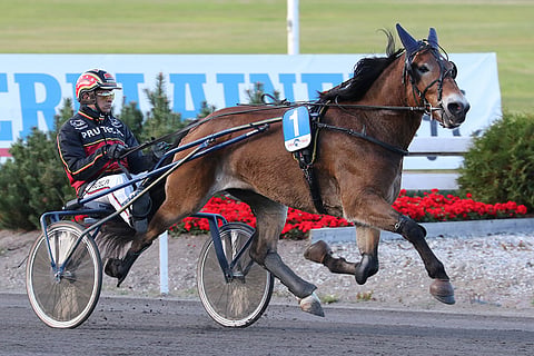 Tähtiheili ja Henri Bollström.