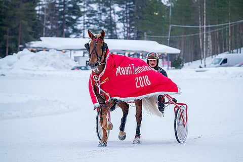 Ellin Sisu juoksi tiistaina ensimmäisen voittonsa sitten joulukuun 2021.