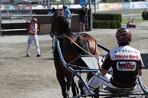 Staro Miamilla on isoja tehtäviä syksyllä, ensin Ruotsin Tammaderby sitten UET Grand Prix. Kuva: Jarno Unkuri
