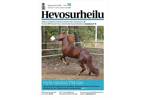 Hullumies hyvästelee kilparadat huipulla