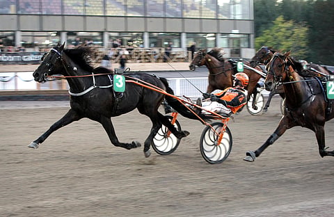 Tommi Kylliäisen ohjastama Celebrity Lane kiri voittoon Kouvolassa. Arkistokuva.