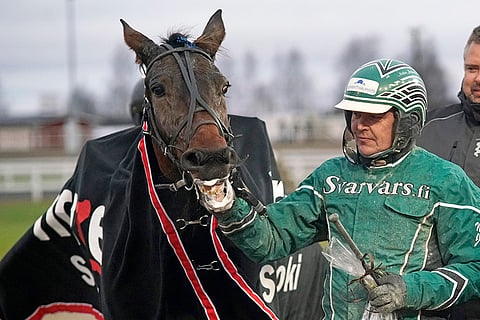 Excalibur It ja Niko Jokela nostattaisivat takuulla urheilutunnelmaa Solvallassa, jos pääsevät mukaan lauantain raveihin pronssidivisioonan finaaliin. Kuva Kirsi Kantokoski