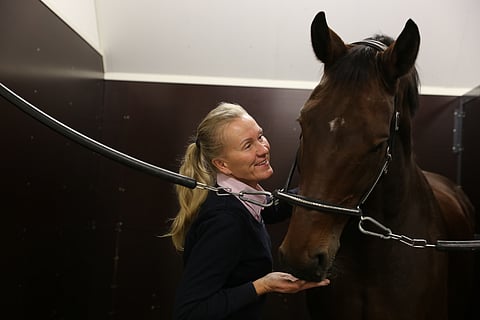 Tuula Pursiainen on hieronut monet ratsut ja ravurit elämänsä iskuun. Kuva: Hanna Laakso