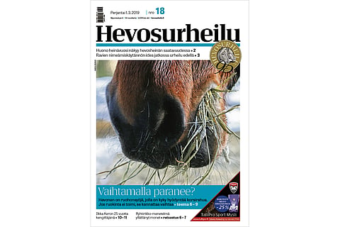 Hevonen pitää syömisestä. Kuva: Annika Nisonen.