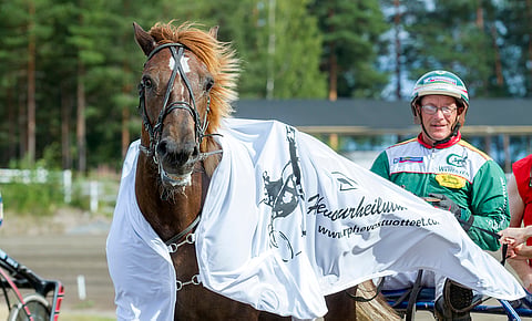 Sokru alisuoritti sunnuntaina Lahdessa rajusti. Torstaina tamma pääsee hierojan käsittelyyn.