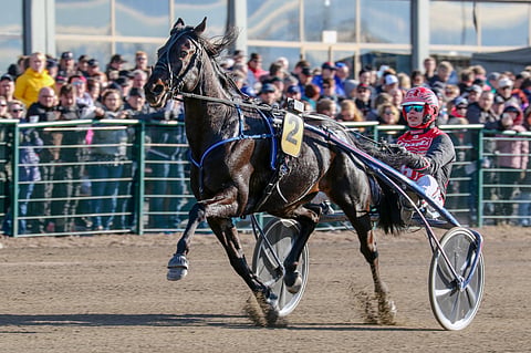 Seinäjoki Racen voittaja Atupem juoksee Åbyssä lauantaina. Kuva: Anu Leppänen