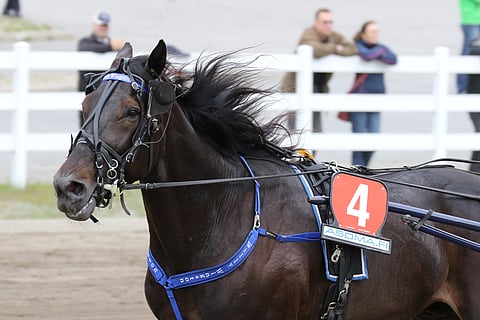 Willy Wingston jää pois Kuopiosta. Kuva: Anu Leppänen