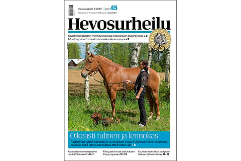 Liisan Tulilintu. Kannen kuva: Anna Karhila.