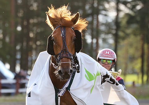 Pihtiputaalaiskaksikko Santtu Raitala  ja Antti Ojanperä juhlivat kotiradallaan. Raggari vei nimiinsä ensimmäistä kertaa ajetun Juniorhelmi-lähdön ennen Vixusta ja Herra Heinämiestä. Reima Kuisla Stable omistaa kuusivuotiaan ruunan.