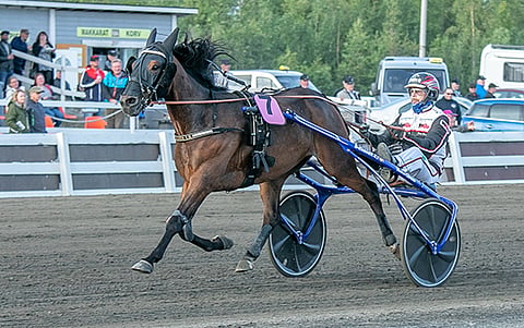 Selmer I.H. voitti ylivoimaisesti Tornion Midnight Racen 2019.
