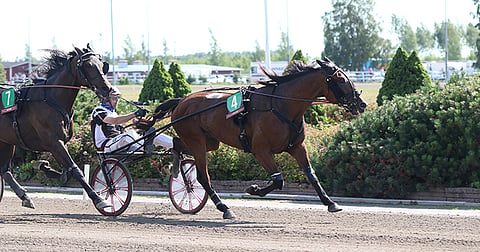 Vermossa pitkän matkan valloittanut Valiant Dream paineli mailin Porissa aikaan 11,3a.