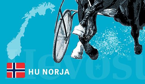 Tjomslandille kylmäveristen lähdöt, I.D. Exceptional voitti kriteriumin ja Kraesj derbyn