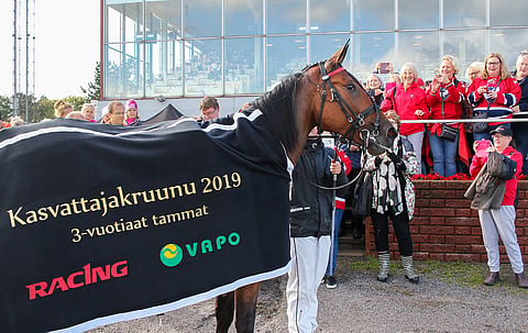 Mascate Match voitti Kasvattajakruunun alkuerän vakuuttavasti.