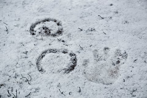 Arkistokuva: Ada Pykäläniemi