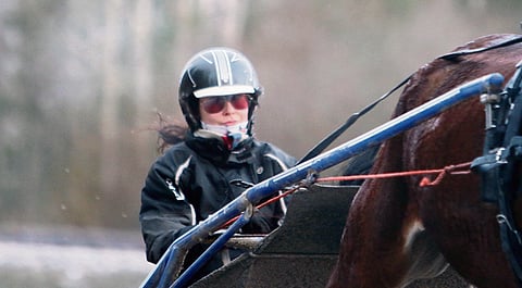 Janita Luttusen valmentama Lionize on illan ideavarma.