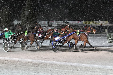 Viime vuonna 3-vuotiaiden oriiden ja ruunien Kasvattajakruunun Hannu Torvisen ohjastamana voittanut Marschall Match pyrkii toistamaan tempun reilun puolentoista viikon päästä Jyväskylässä.