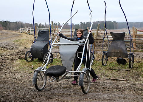 NIna Petterisson-Perklénillä on valmennuslistallaan yli 50 hevosta. Tämän talven hän viettää Suomessa, mutta 23. tammikuuta on suunnitteilla isku Bollnäsin 75-raveihin.