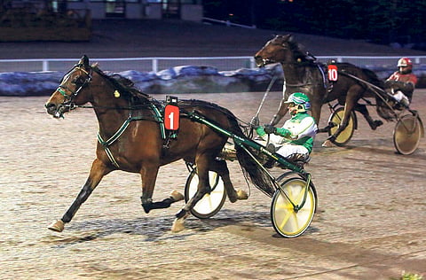 Viimeksi pussiin jäänyt Knocking Match voi voittaa tänään.