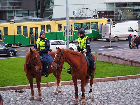 Poliisihevonen ei saa hätkähtää mistään kaupungin humussa. Kuva: SI