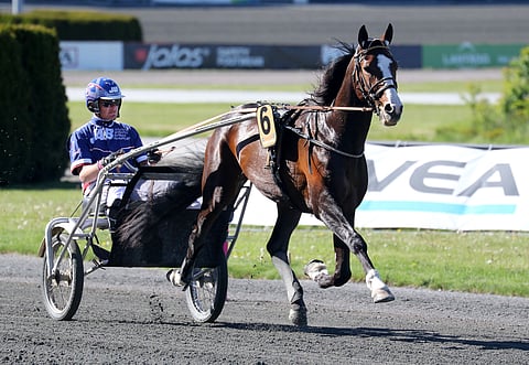 Racing Mange voitti Jägersrossa. Kuva: Anu Leppänen