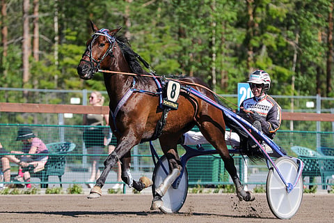 Ricoconen alkukausi enteili sille uran parasta kautta. Kuopion Kavioliiga Grand Prix'n alla tuli kuitenkin takaisku, jonka vakavuus selviää ensi viikolla.