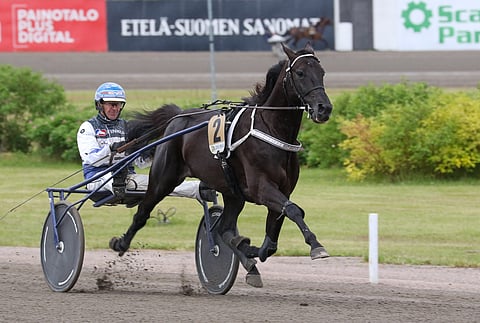 Hotshot Luca kilpaili Pekka Korven tallista menestyksekkäästi.
