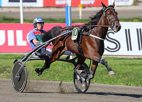 Ifa Racingin Didi Dam juoksi viimeisen starttinsa Tuomas Korvenojan tallista Tammakriteriumin finaalissa 8. elokuuta.