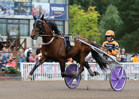 Dartagnan Sisu on selkeästi alipelattu.