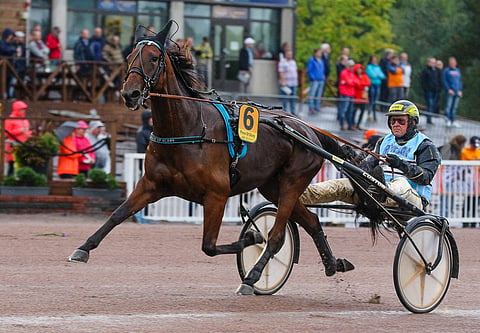 Juha Utalan valmentaja ja ohjastama Piece Of Glory on tasaisesti pelatussa Toto65-4:ssä hyvä varma.