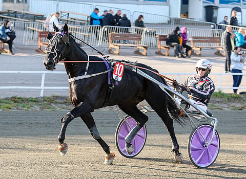 Com Tuff kilpaili aiemmin Matias Salon tallin väreista.