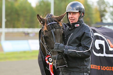 Tero Silvaksen valmentamalla ja osaomistamalla Mustamanilla on takanaan 50 starttia, joista 11 se on voittanut. Kuva vuoden 2019 kriteriumraveista, joissa ruuna voitti divisioonafinaalin. Kuva: Anu Leppänen