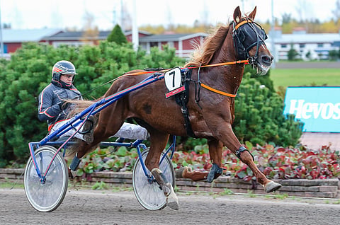 Peter Lindroos ohjasti Orvar Iveria viime syksynä Porissa, mutta keskiviikkona rattailla istuu Hannu Torvinen.