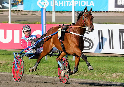 Trot Kronos menestyi Harri Koivusen tallista hyvin monté-lähdöissä, mutta kärryt perässäkin sitä nähtiin.