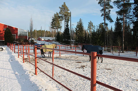 Osaomistajat suhtautuvat vakavasti Hevosopiston ryhmäkanteluun: ”Tavoitteena häiriötön ja turvallinen työyhteisö”