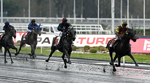 Bahia Quesnot on voittanut myös Prix du Cornulierin. Kuva: Gerard Forni