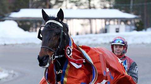 Thai Profit loisti Kavioliiga Grand Prix'ssä 27. helmikuuta, muttei ole sen jälkeen kilpaillut.