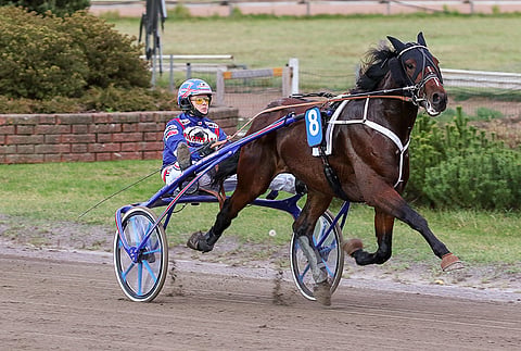 Making Match on voittanut huonolla numerolla ennenkin. 11 kilpailua ovat tuoneet 4 ykkössijaa ja täyden matkan ennätyksen 15,2a. Arkistokuva: Anu Leppänen.