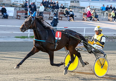 Paddock’s Star kilpaili urallaan 74 kertaa totosijoin 7-9-6 ja tienasi 21 295 euroa. Jarmo Savolainen ajoi starteista kahta lukuun ottamatta kaikki.
