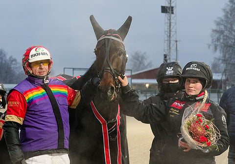 Tapio Perttunen ajoi Slippery Runwaylla viime syksynä hienoja voittoja Sagari AB:n sateenkaariväreissä. Ruuna jatkaa edelleen Emmi Liskin hoidokkina Perttusella. 