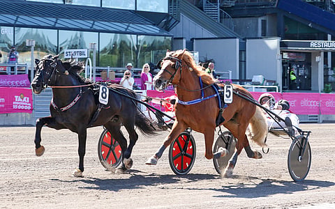 Odd Herakles ja H.V. Tuuri kamppailivat Elitkampenin voitosta. Kuva: Anu Leppänen