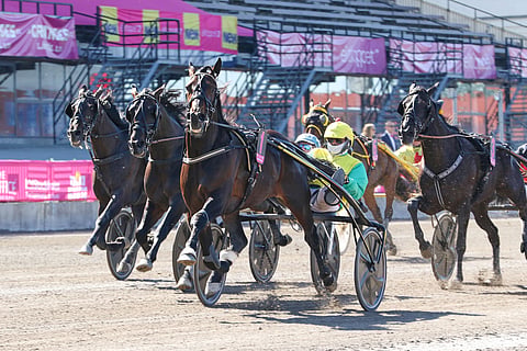 Hevosia rinnakkain ensimmäisen Elitloppet-karsinnan maalisuoralla.