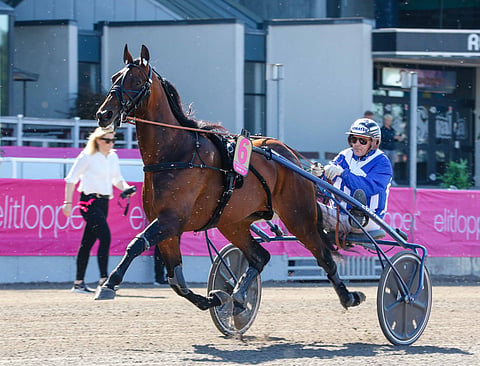 Ecurie D:n ylväs olemus hurmasi nyt Lexingtonin legendaarisella The Red Milella. Kuva: HU arkisto/