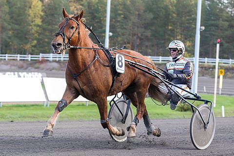 Karlo on pitkien kisamatkojen voimapussi.  Kuva: Anu Leppänen