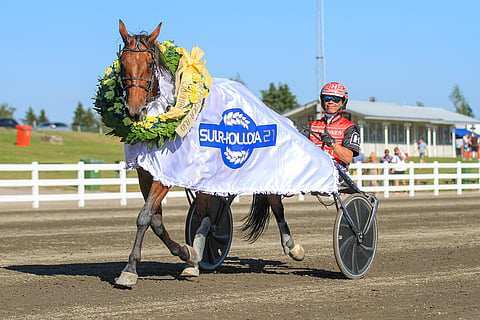 MAS Champ rymisteli viime vuonna kansalliselle huipulle. Kiritykkiä juhlitaan tänään Suur-Hollola-ajon sankarina. Kuva: Roosa Lindholm.