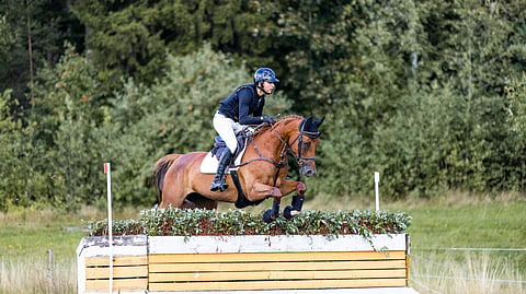 Axel Lindbergin ratsastama Quelle Bonne on Maria Lucander-Aminoffin omistama vuonna 2015 syntynyt tamma Qualitosta.