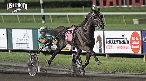 Captain Corey jatkoi voittoputkessa Pocono Downissa. Kuva on Hambo-karsinnan voittojuoksusta.