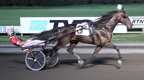 Åke Svanstedtin tallin Delayed Hanover säväytti Dexter Dunnin ajamana loppukirillään Hambo-karsinnassa.