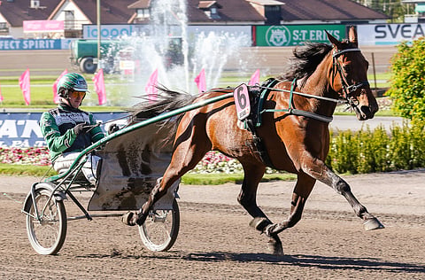 Valmentaja Jörgen Westholm lämmitti Unique Junin viime Elitloppet-lauantain Tammaeliittiin.