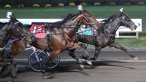 Forbidden Trade puristi arvokkaaseen TVG Open voittoon Meadowlandsissa marraskuussa.