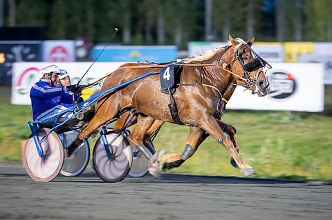 Juhani Harmoisen ohjastama Iinan Prinssi kiri syyskuussa 2019 Kuopiossa ohi sisäpuolella vastanneesta Villikamusta.